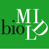 logo-quadro